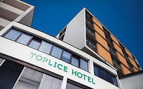 Toplice Hotel  3*